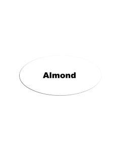 MFTALM - ID Magnet Oval Almond Milk